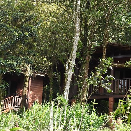 Heliconias Rainforest Lodge Bijagua Exterior photo