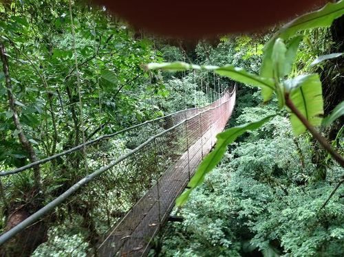 Heliconias Rainforest Lodge Bijagua Exterior photo